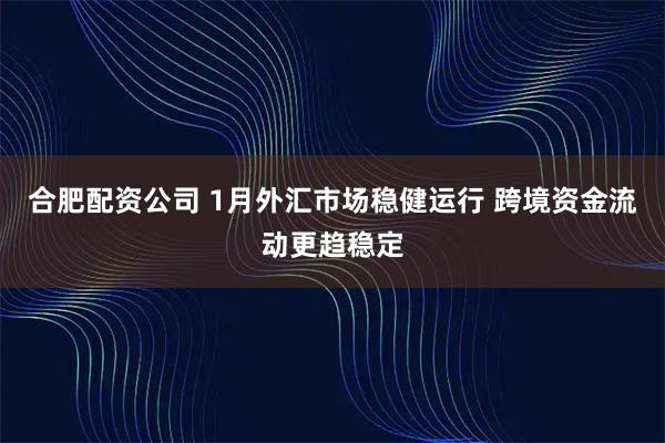 合肥配资公司 1月外汇市场稳健运行 跨境资金流动更趋稳定